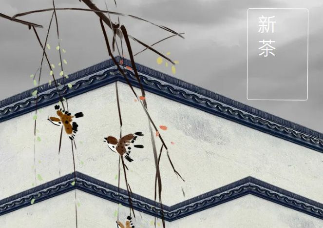 太極莊新菊上市！白菊婉清顏，芳香滿庭院